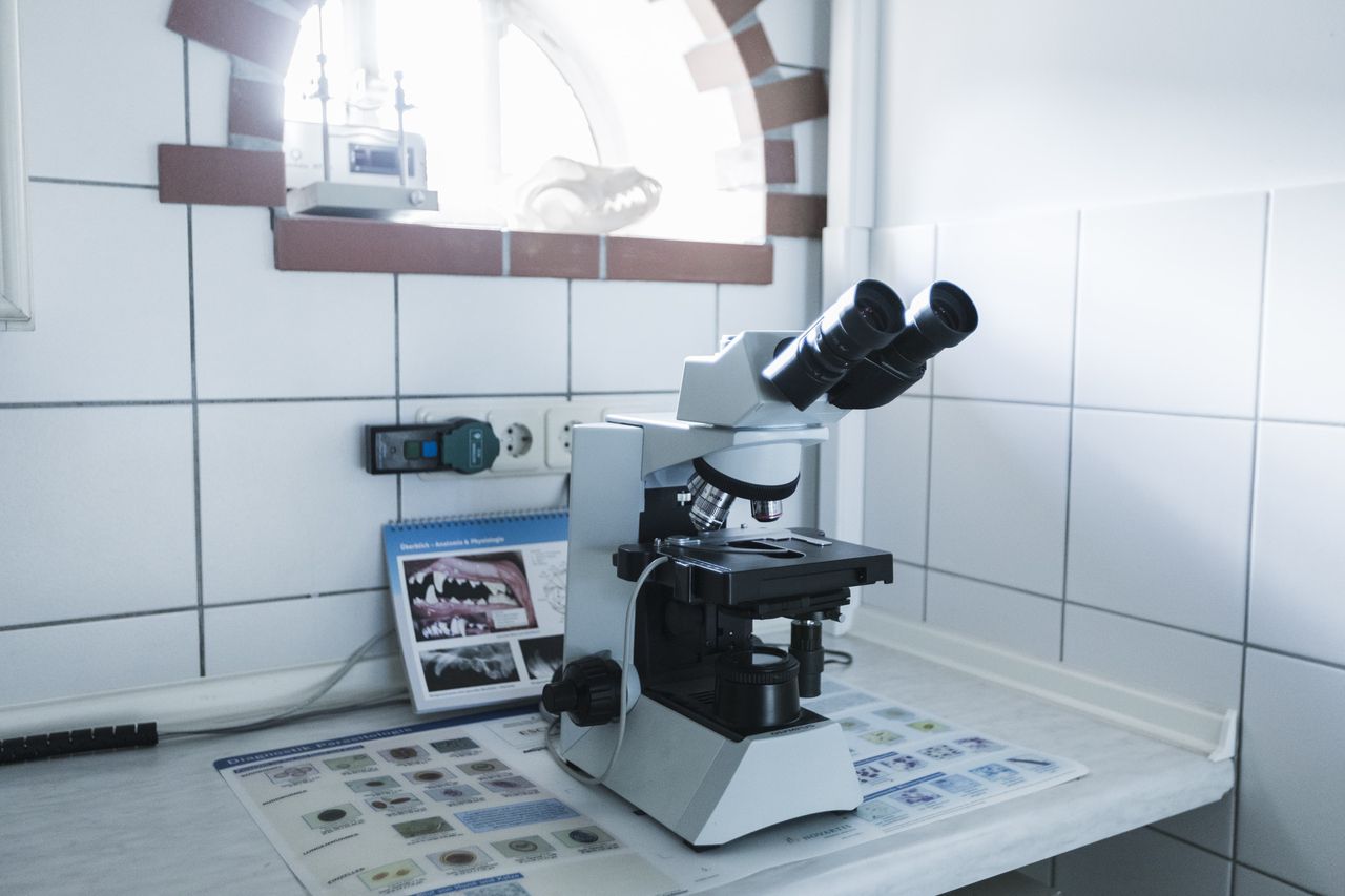 Mikroskop im hauseigenem Labor